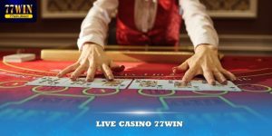 live casino 77win ảnh đại diện